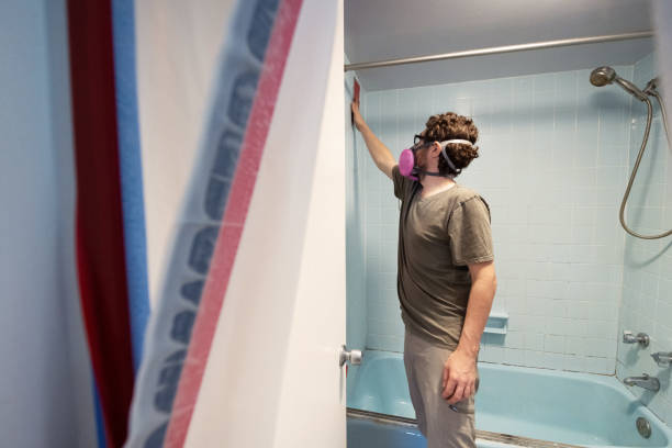 Professional Mold Removal in Kingfisher, OK