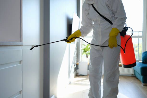 Best Mold Remediation for Rental Properties  in Kingfisher, OK